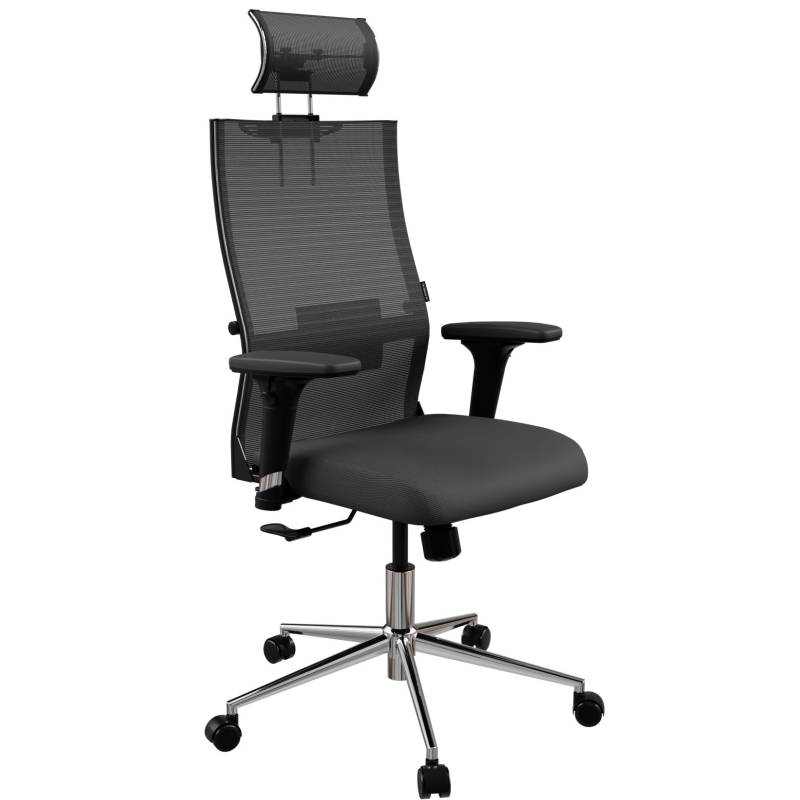 Кресло руководителя Ergolife SynchroSit Air 24/7 B2-287D - Italy+UMF(X1) главное фото